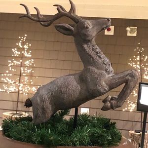 Meet your Posher, Claire